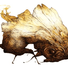 Dragón de mesa - Bestiario ilustrado