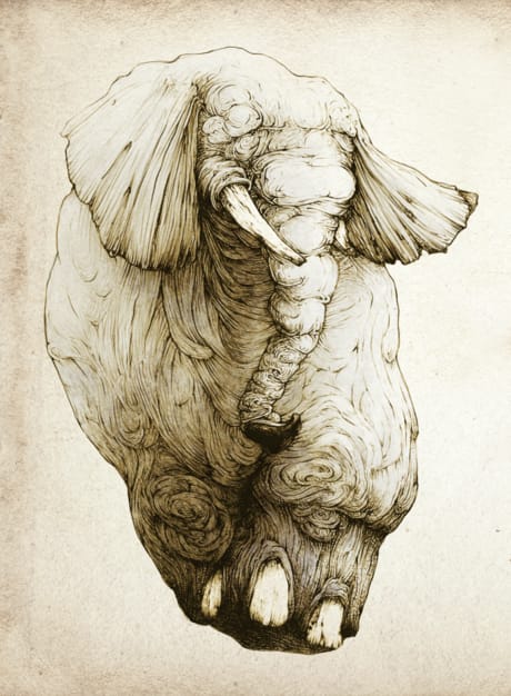 Dibujo de un elefante en cautiverio en la serie de textos ilustrados Memorias y balanceos de Lisandro Demarchi