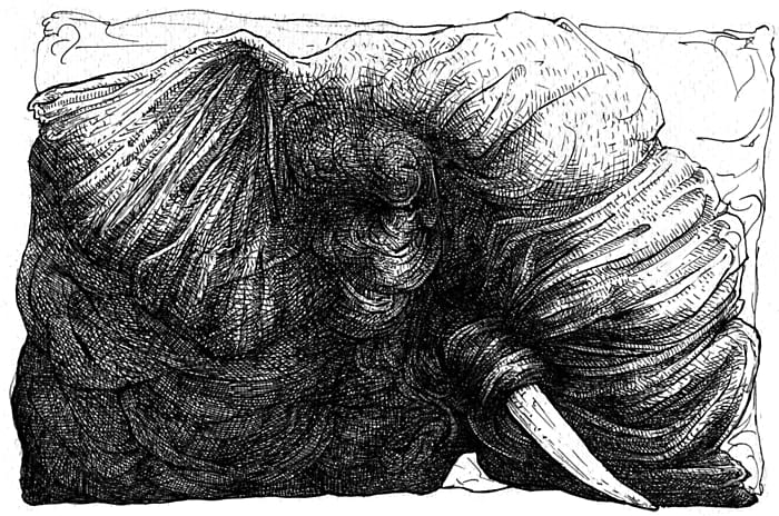 Dibujo de un elefante a tinta en blanco y negro
