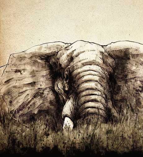 Dibujo de un elefante cobarde en la serie de cuentos ilustrados Memorias y balanceos