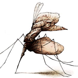 Foutain Pen Mosquito a.k.a. Pen Pusher Mosquito in the Illustrated Bestiary