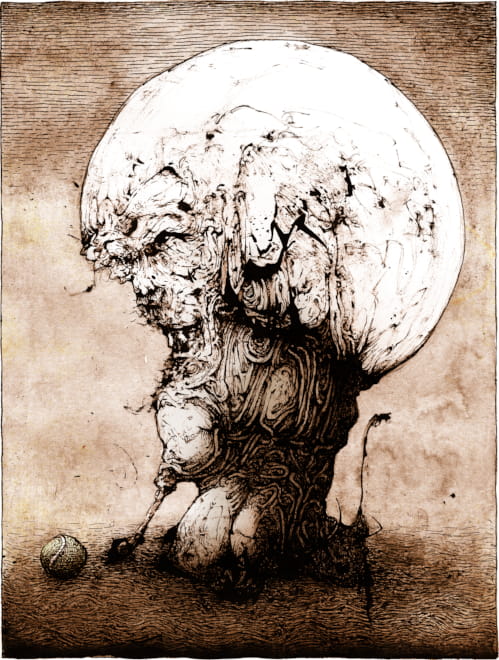 Domesticated Mushroom Pen and Ink Illustration