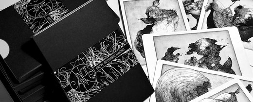 Sea Riders Marine Bestiary Postcards Pack Photo