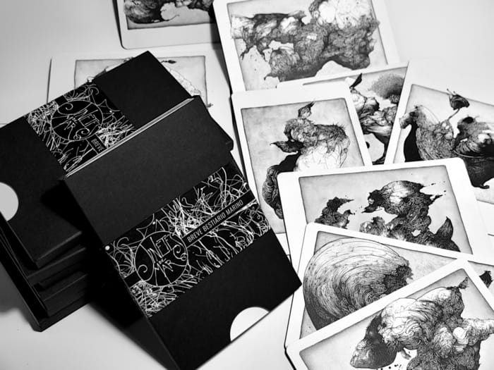 Sea Riders Marine Bestiary Postcards Pack Photo