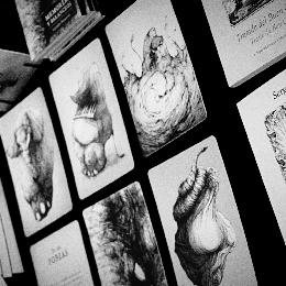 Libros ilustrados de feria en feria
